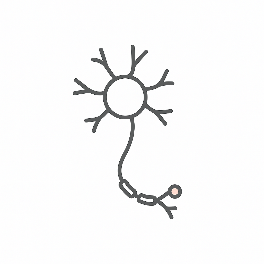 Neuron Physiology Understanding - Quiz, Flashcards & Trivia