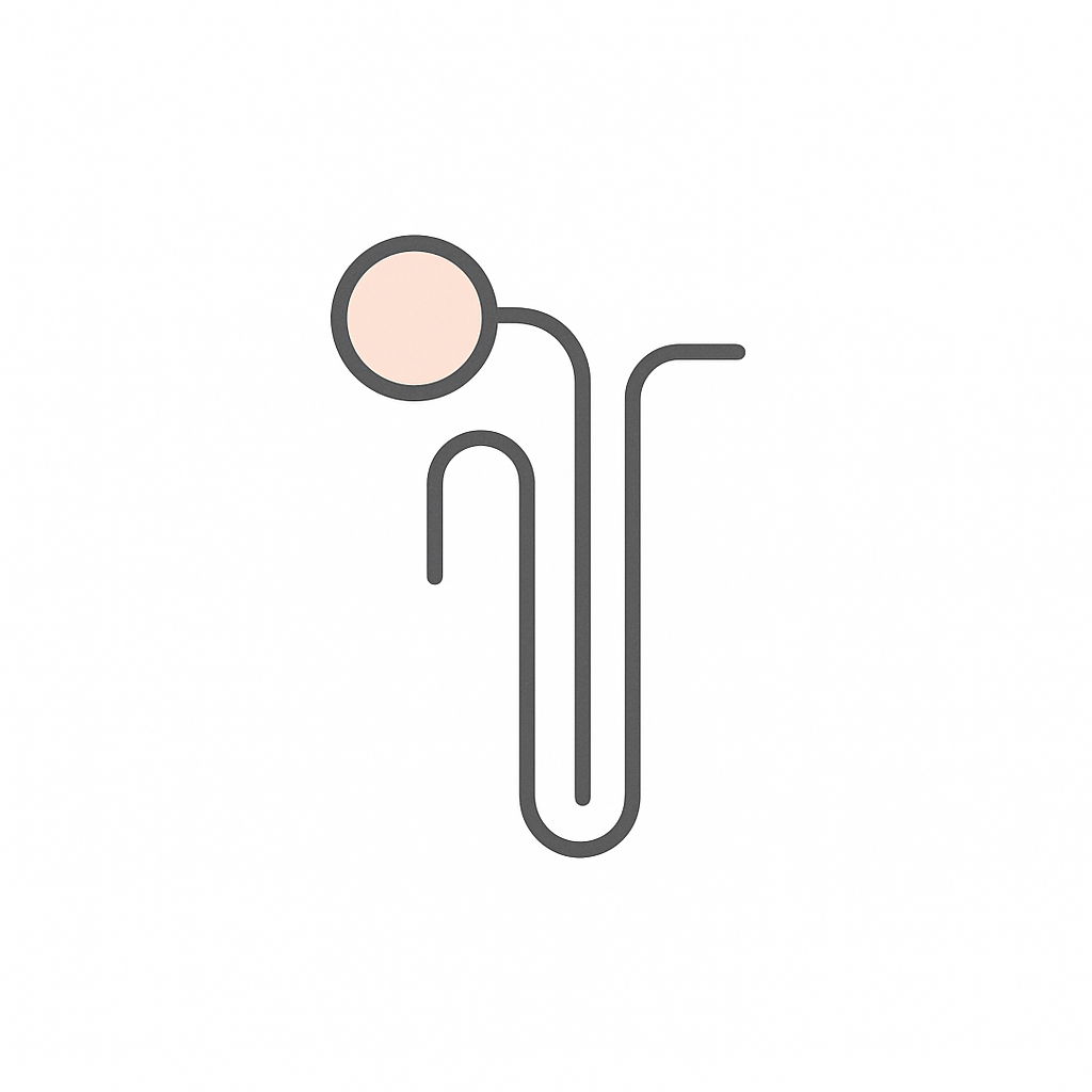 Understanding the Nephron and Its Functions Study Guide - Read & Understand