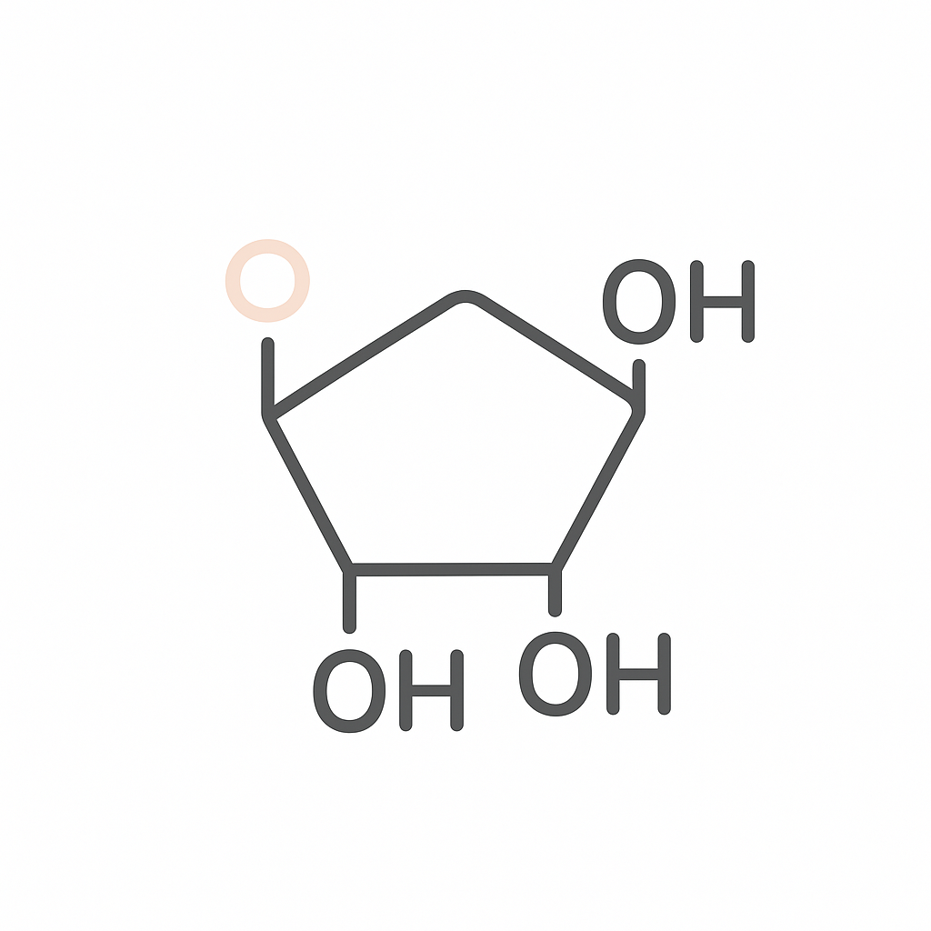 Carbohydrates Structure and Chemical Formula Study Guide - Read ...
