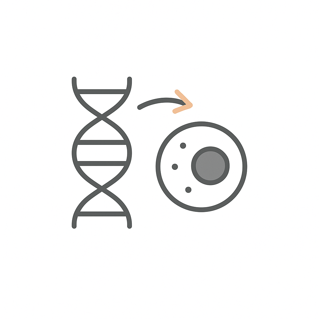 Biological Macromolecules Overview and Processes - Interactive Mind Map