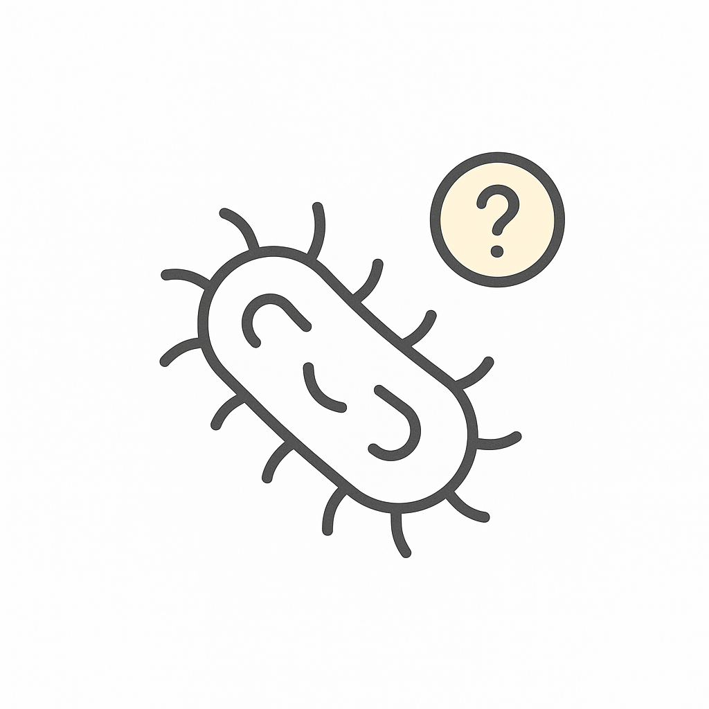 Geography Subject Pro Math Lessons Understanding Bacterial Biology Concepts Study Guide - Read & Understand