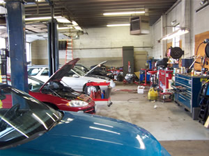 Auto & Shop Information