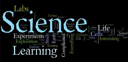 Forming a Hypothesis