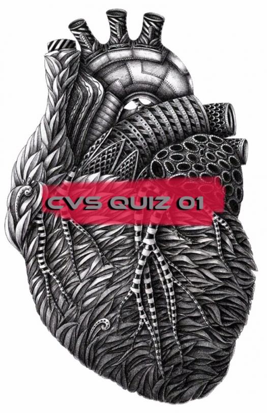 Cvs Quiz #01