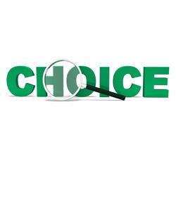 Word Choice: Noun - Quiz