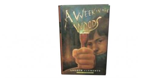"a Walk In The Woods"