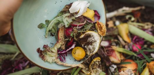 Food Waste Quiz