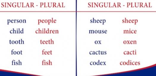 Singular And Plural Quiz For Grade 2 ProProfs Quiz