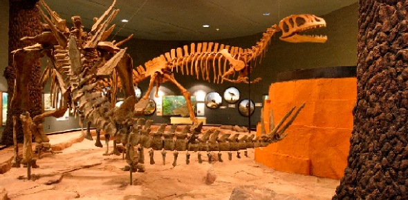 Does culture have a place in your life?
 - ProProfs