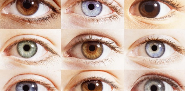 What color are your eyes?
 - ProProfs