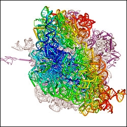 Cell Parts And Function Quiz - Proprofs Quiz Cell Parts And Function Quiz - Proprofs Quiz