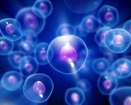 Cell Parts And Function Quiz - Proprofs Quiz Cell Parts And Function Quiz - Proprofs Quiz