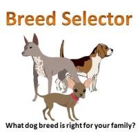 Dog Breed Selector Quiz Proprofs Dog Breed Selector Quiz