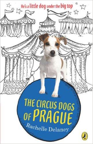 Circus Dogs of Prague