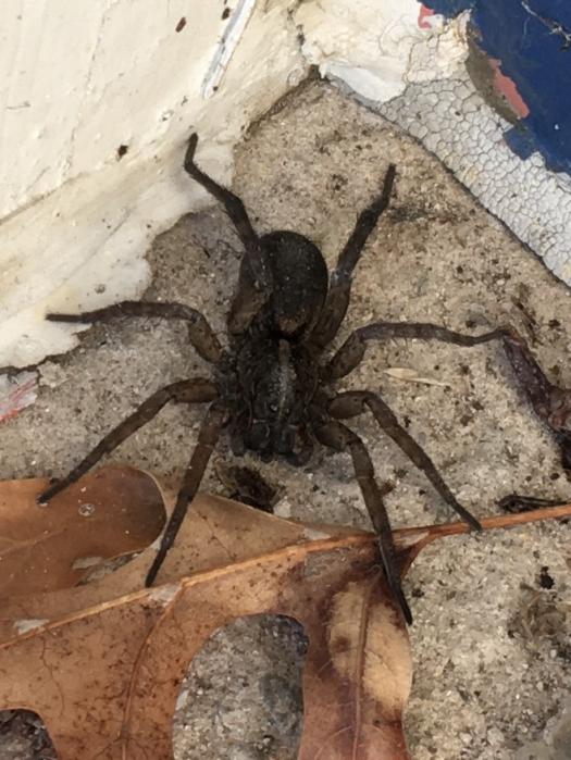 PS 2: Vocabulary Quiz II