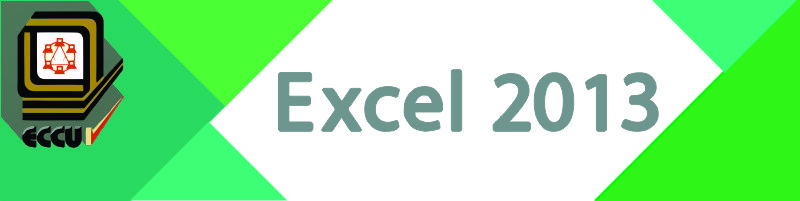 Excel 2013