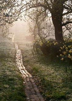 Critical Path Analysis Quiz