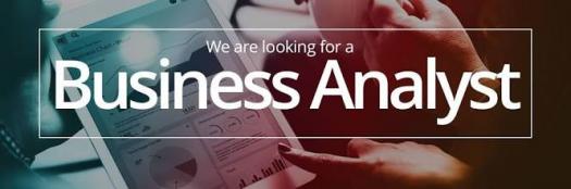 Business Analyst with Capital Markets