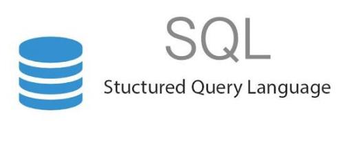 PL/SQL Assessment Test! Trivia Quiz - Trivia & Questions
