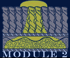 Practice Test Treatment Test Module 6