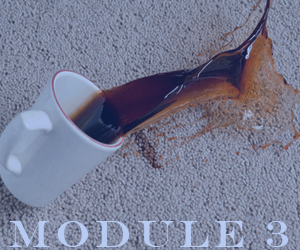 Stain Removal. Module 7