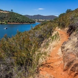 Are you an EDH local?