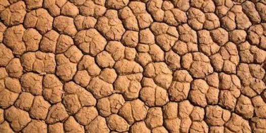 How Well Do You Know Patterns In Nature ProProfs Quiz Fascinating Nature Patterns How Well Do You Know Patterns In Nature ProProfs Quiz Fascinating Nature Patterns