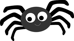 Spider Quiz