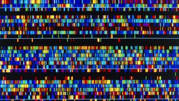 Biology Prefix Test - 20