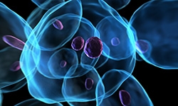 Human Anatomy Prefix Test - 12