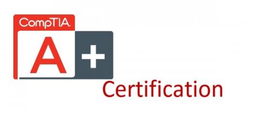 CompTIA A+ certifications are for one of the following occupations - ProProfs