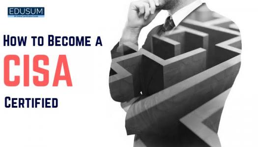 CISA Auditing Trivia Questions! Quiz - ProProfs Quiz