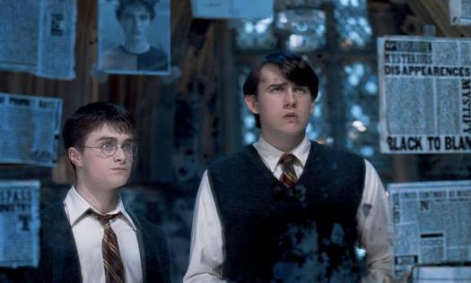 Are You More Like Harry Potter Or Neville Longbottom? - Quiz