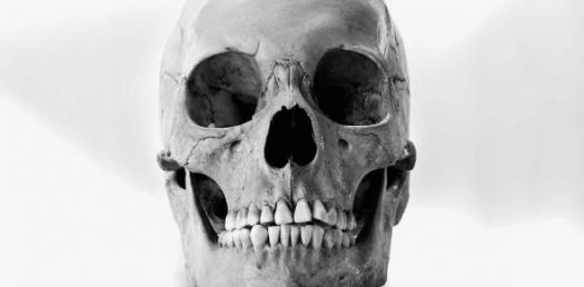 Articulation: The Skull