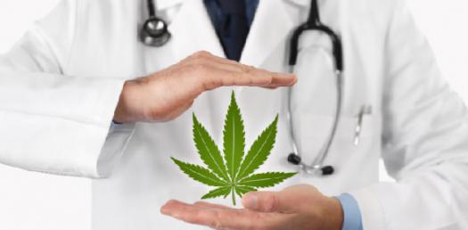 Illnesses ultimet quiz