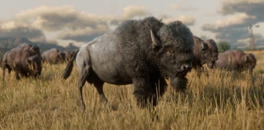 Endangered Animal Species