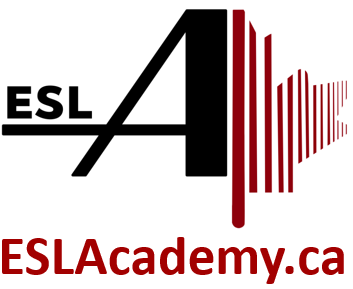 Reading - Mini Cooper - Quiz