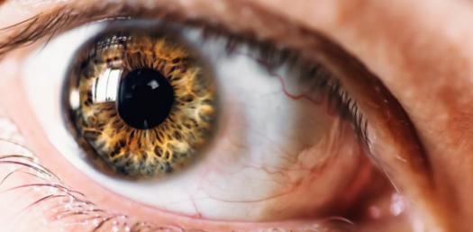 Quiz: Label The Parts Of The Eye - ProProfs Quiz