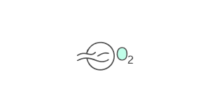 O2 Biosignatures False Biosignatures Oxygen: Abiotic Oxygen Sources - Quiz & Trivia
