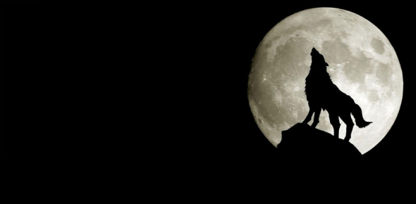 Am I A Werewolf For Real Proprofs Quiz