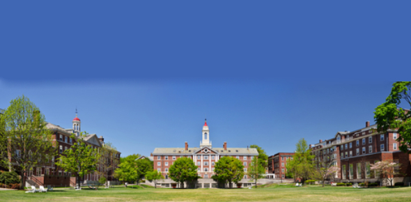 What Is My Talent? Quiz - Quiz