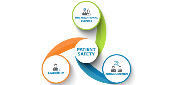 Ppt International Patient Safety Goals Ipsg Powerpoint Presentation Id 5192557