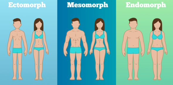 Different body types (somatotypes) (A) Ectomorph, (B) mesomorph