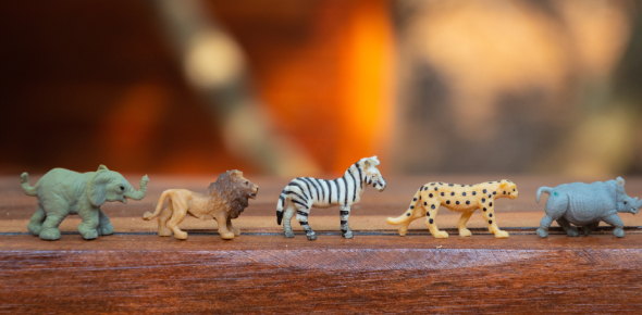 What is your favorite animal?
 - ProProfs