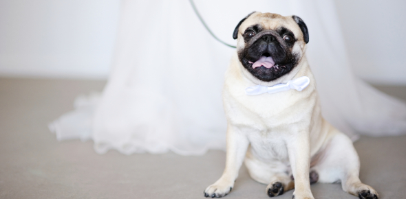 What Is My Talent? Quiz - Quiz