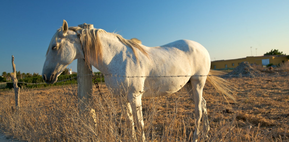 What Is My Talent? Quiz - Quiz