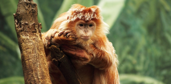 What Is My Talent? Quiz - Quiz