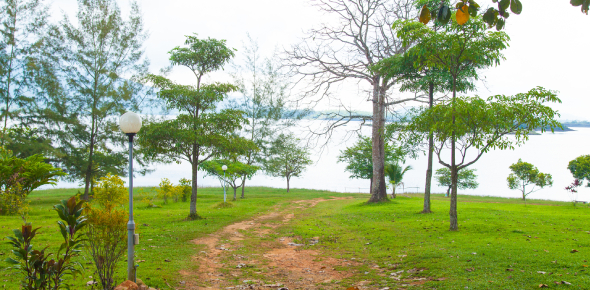 What Is My Talent? Quiz - Quiz