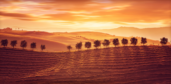 What Is My Talent? Quiz - Quiz