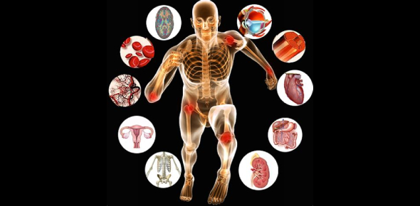 Anatomy And Physiology Exam Quiz Proprofs Quiz